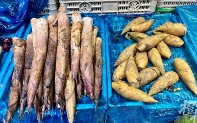 冬季第一口鲜来袭！南环桥菜市场冬笋上市，价格低于去年