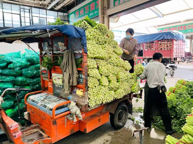 冬季第一口鲜来袭！南环桥菜市场冬笋上市，价格低于去年