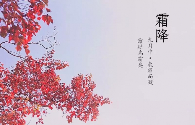 霜降：送你最美诗词，最风韵的晚秋