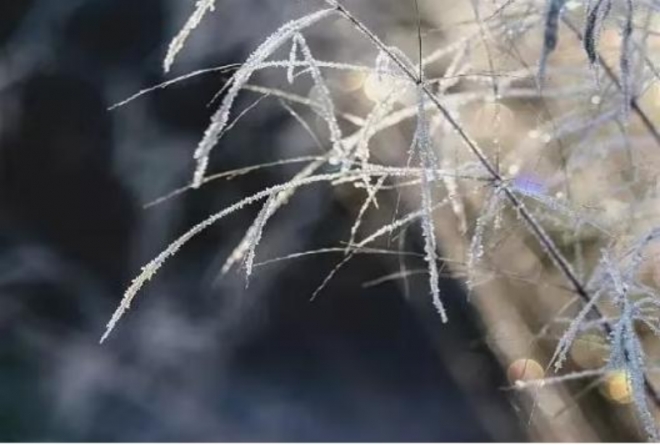 霜降：送你最美诗词，最风韵的晚秋