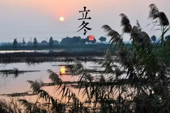 写尽立冬，感悟人生