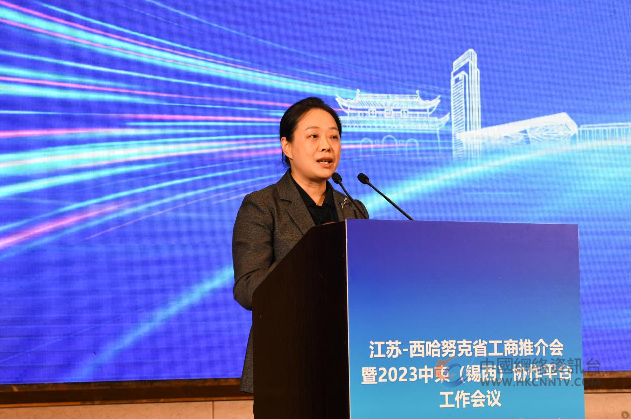 江苏-西哈努克省工商推介会暨2023中柬（锡西）协作平台工作会议成功举办