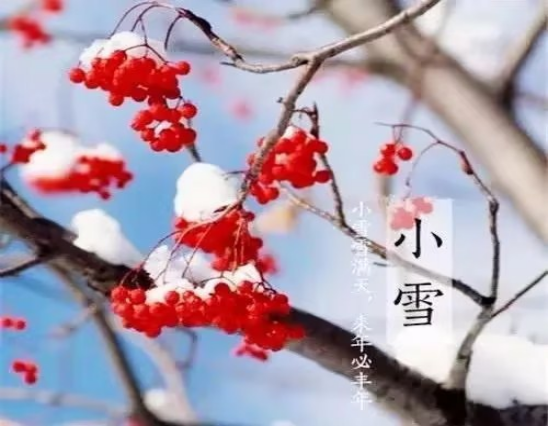 雪落为念，愿君安康