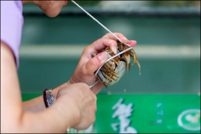 女子双手总是发麻，螃蟹也绑不住！苏州九龙医院：4虚莫忽视，调理要对症