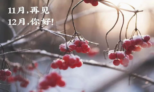 再见十一月，你好十二月