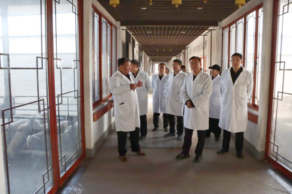 新疆生产建设兵团王健一行考察江苏乾宝牧业