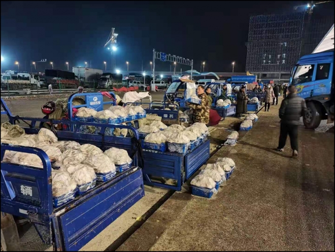 强降温天气袭来，南环桥市场“菜篮子”货足价稳