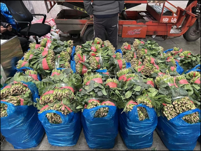 强降温天气袭来，南环桥市场“菜篮子”货足价稳