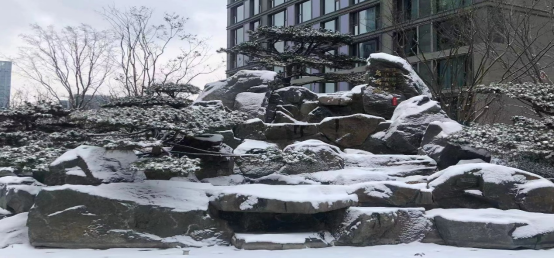 一片飞来一片寒，雪落成诗