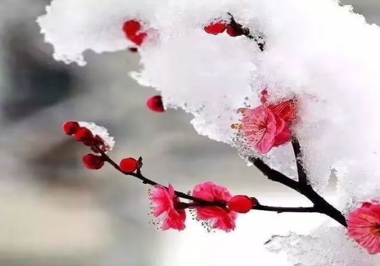 与优秀的人在一起，你也会更优秀