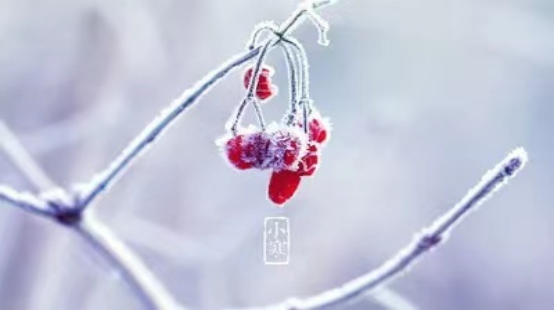 小寒时节，愿君安康