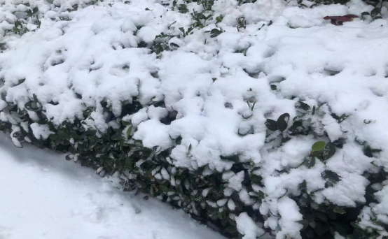 小寒时节，愿君安康