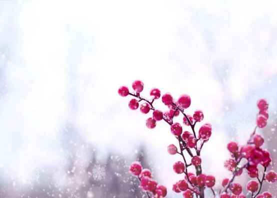 小寒时节，愿君安康