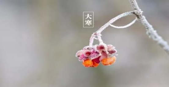 冬色尽，春将至，愿山河无恙，人间皆安