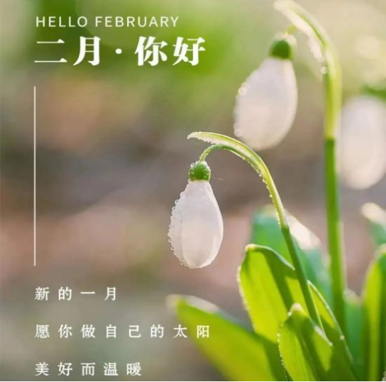 一月再见，二月你好！