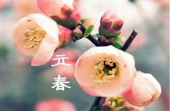 一年节气立春始，万象更新美好时