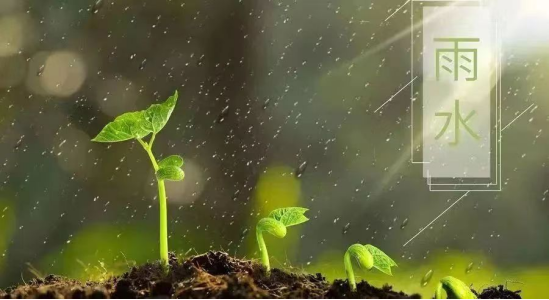 最美的诗词在雨水里