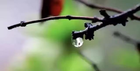 最美的诗词在雨水里