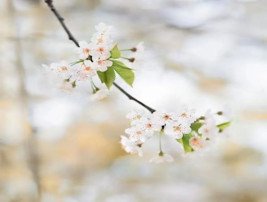 二月再见 三月你好