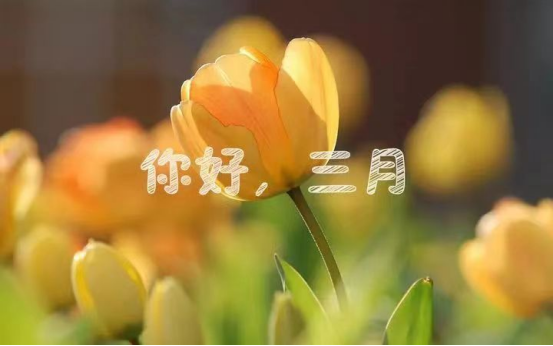 二月再见 三月你好