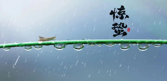 邂逅惊蛰