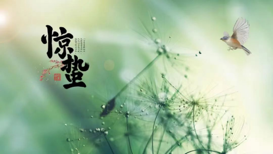 邂逅惊蛰