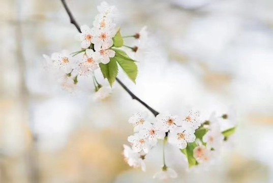 女神节，向所有的“她”致敬