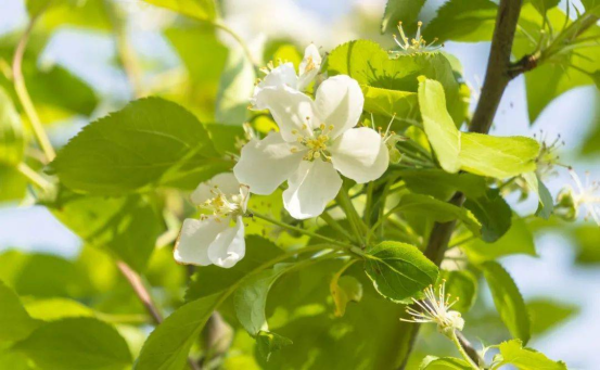 女神节，向所有的“她”致敬