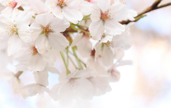 女神节，向所有的“她”致敬