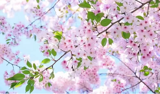 女神节，向所有的“她”致敬