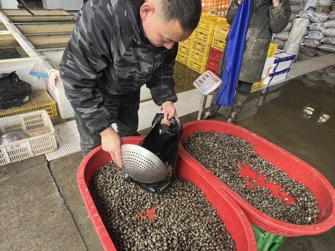 明前螺蛳抢“鲜”上市，苏州南环桥市场春季限定美食受热捧