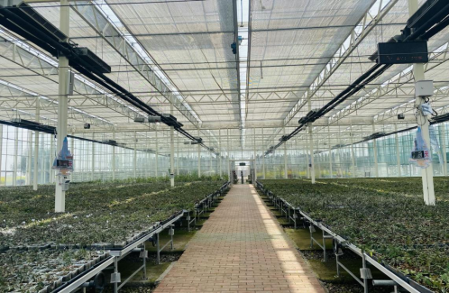 激发消费活力！华润万家携手消费者走进铁皮枫斗种植基地