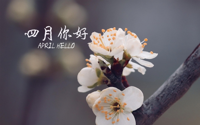 三月再见 四月你好