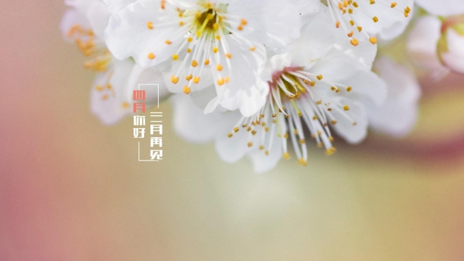 三月再见 四月你好