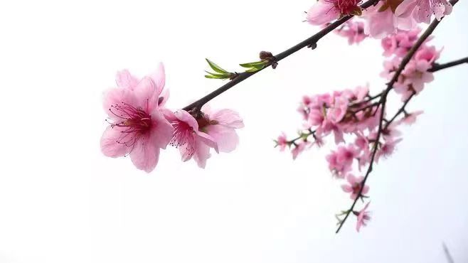 三月再见 四月你好