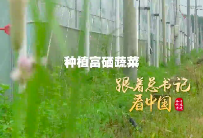 跟着总书记看中国 | 田野上的希望