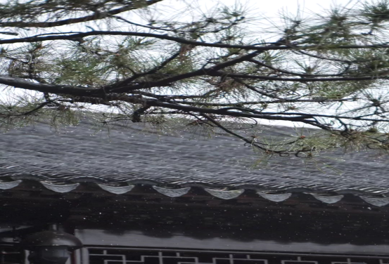 谷雨至，人间四月正好