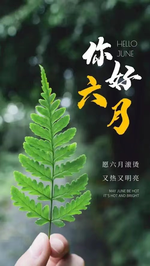五月 再见，六月你好
