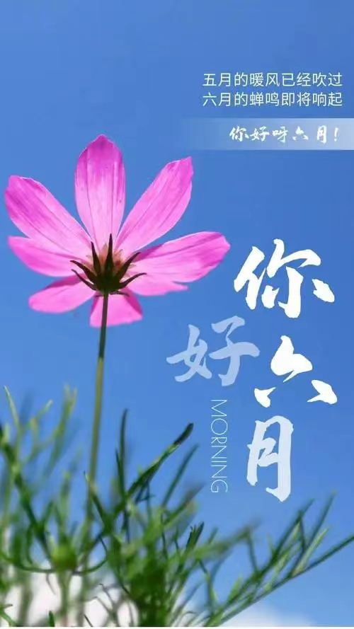 五月 再见，六月你好