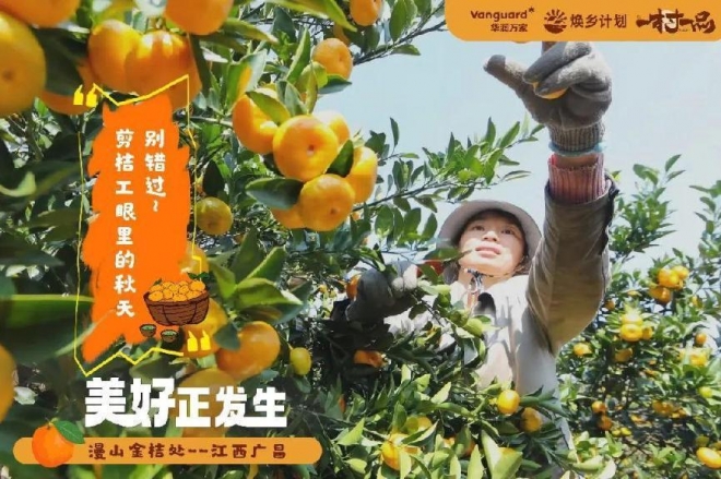 华润万家“焕乡计划”项目入选2024美丽中国建设实践典型案例
