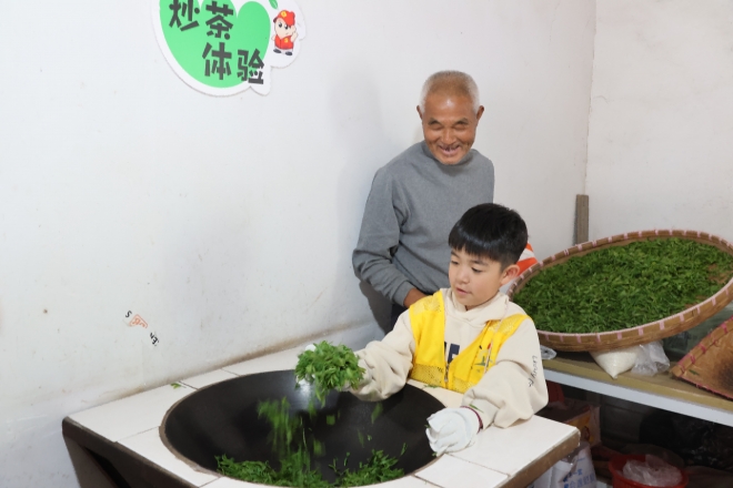 苏州园区丰茂社区开展“茶韵飘香，不负春光”采茶研学活动