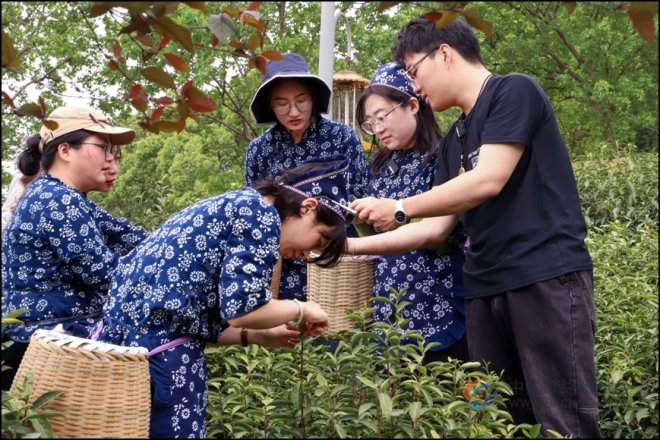 农旅融合助力乡村振兴 “苏韵乡情•悠然见”苏乡采风活动举行