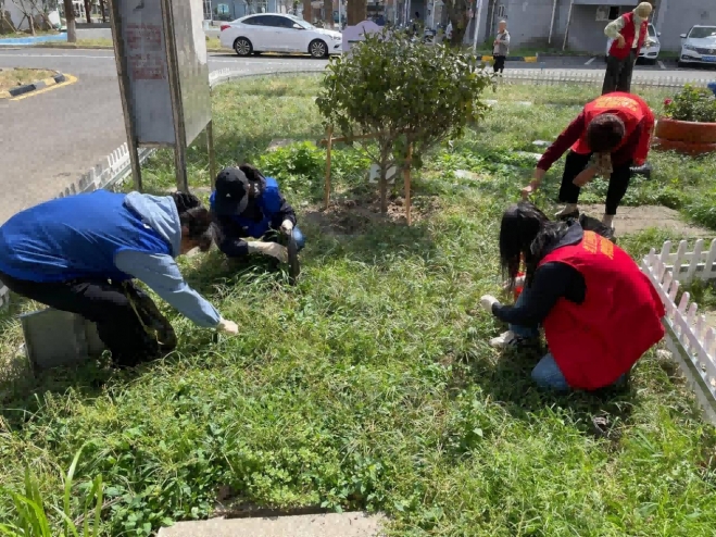 苏州园区浪花苑社区党群联动共筑绿色家园