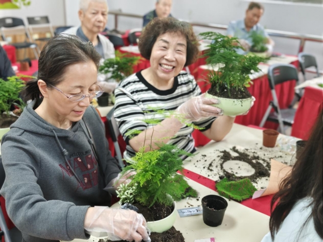 苏州园区锦溪北社区：品文竹雅韵 扬廉洁清风