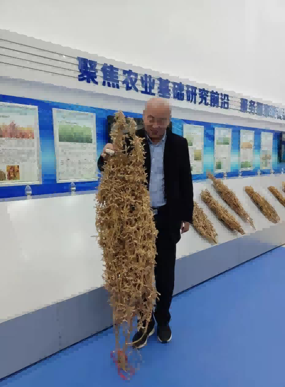 构筑科技与人文的星际对话，无锡航天牡丹科技探索基地启幕