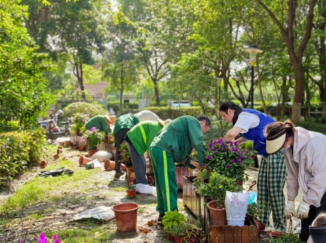 苏州园区锦溪北社区：打造共享花圃，共筑绿色家园