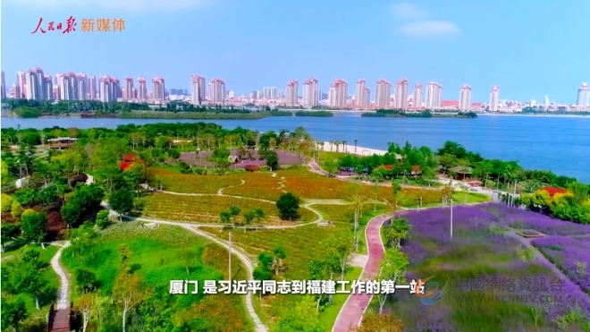 参天之木有其根——习近平同志在福建金融实践探索的三个故事
