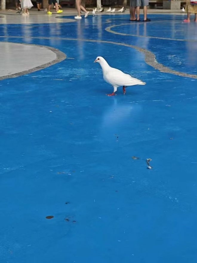 遇见山海关