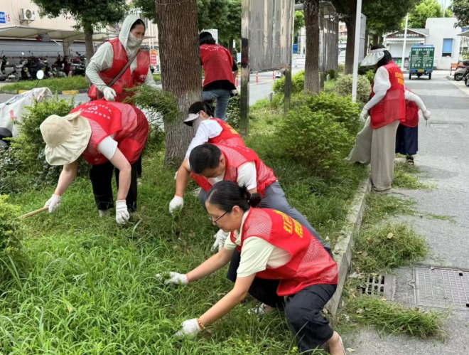 党群携手扮靓共享花圃，苏州园区吴淞社区开展“洁净家园日”活动