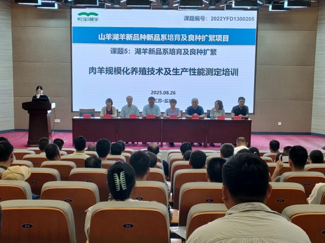肉羊规模化养殖技术及生产性能测定培训班在乾宝牧业成功举办
